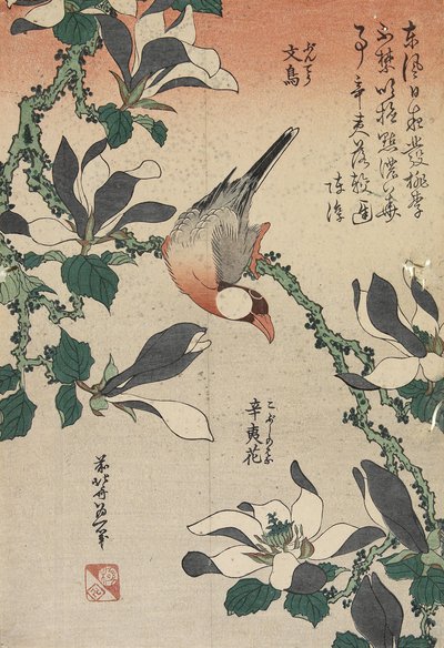 Moineau de Java et Magnolia, c. 1832 - Katsushika Hokusai
