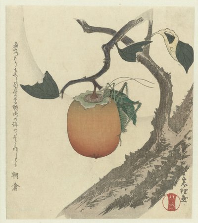Fruit de kaki avec sauterelle - Katsushika Hokusai