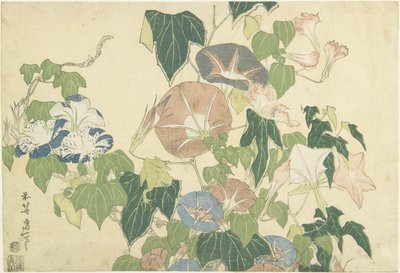 Gloires du matin et grenouille arboricole, de la série sans titre connue sous le nom de Grandes Fleurs, c.1833-34 - Katsushika Hokusai
