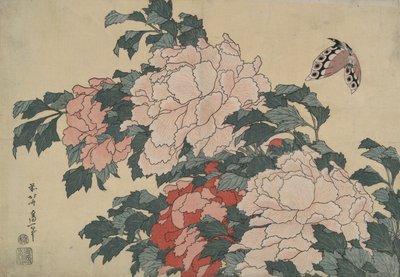 Pivoines et papillon, d