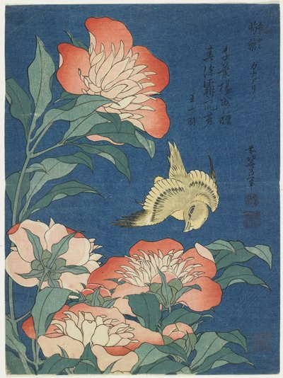 Pivoines et canari, vers 1833 - Katsushika Hokusai