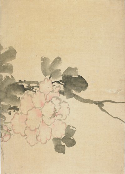 Pivoine, fin du XVIIIe-début du XIXe siècle - Katsushika Hokusai