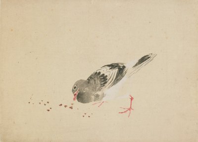 Pigeon, fin du XVIIIe-début du XIXe siècle - Katsushika Hokusai