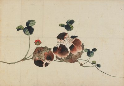 Grenades, fin 18e-début 19e siècle - Katsushika Hokusai