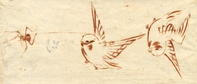 Page de croquis avec oiseaux et araignée - Katsushika Hokusai