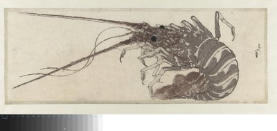 Le Homard - Katsushika Hokusai