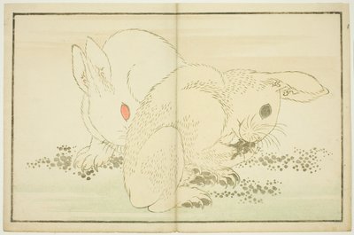 Deux Lapins, du Livre d