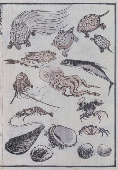 Créatures sous-marines, d