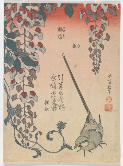 Bergeronnette et glycine, période Edo, 1834 - Katsushika Hokusai