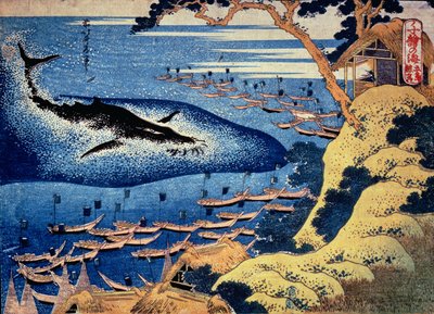 Chasse à la baleine au large de l