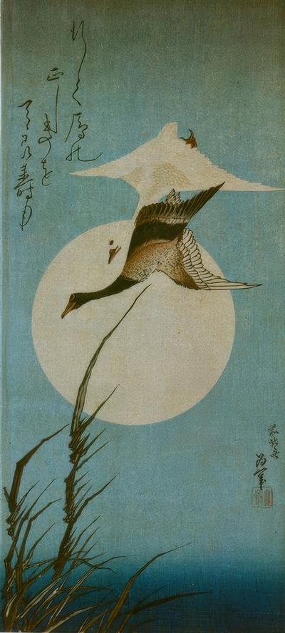 Deux oies sauvages - Katsushika Hokusai