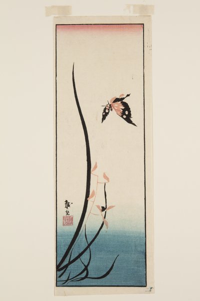 Papillon et herbe - Katsushika II (fl.1820 50) Taito