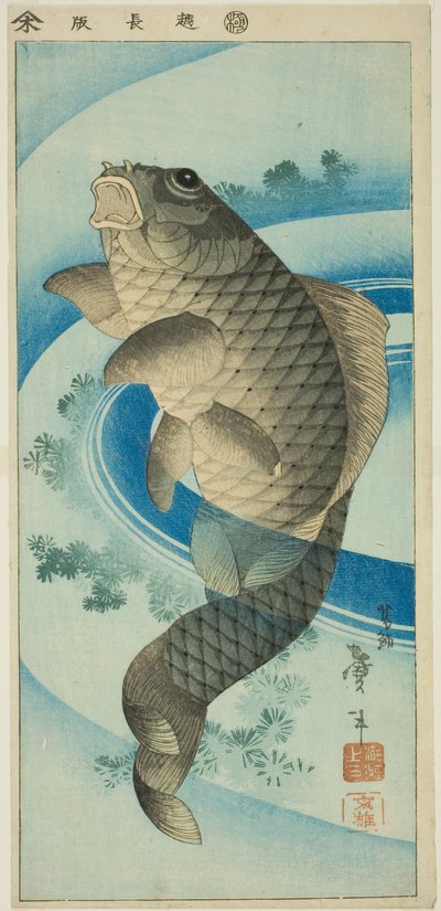 Carpe - Katsushika Taito II
