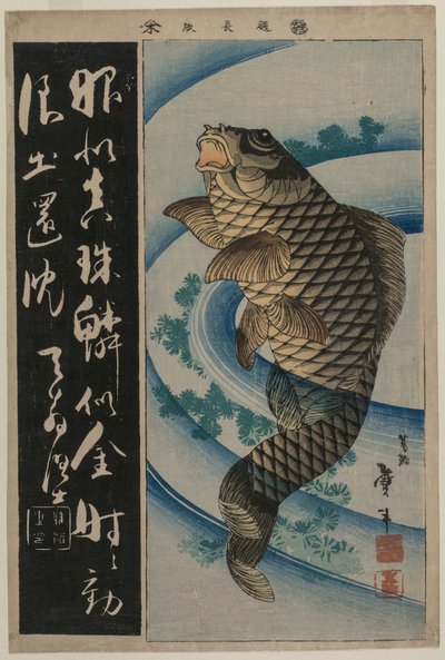 Carpes et herbes aquatiques - Katsushika Taito II