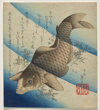Carpes nageant dans les algues - Katsushika Taito II