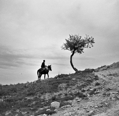 Paysanne revenant des champs, monte une mule, et le profil se détache contre le ciel; bien que ce soit un homme, il monte à l