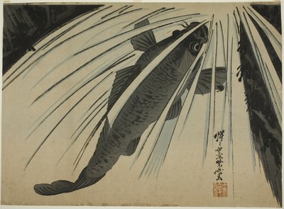 Chutes ascendantes de la carpe - Kawanabe Kyosai