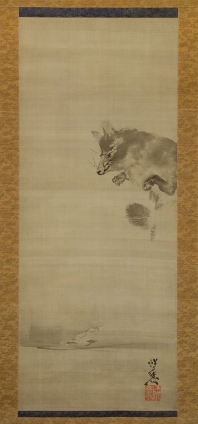 Tanuki chien-raton laveur regardant son reflet dans l