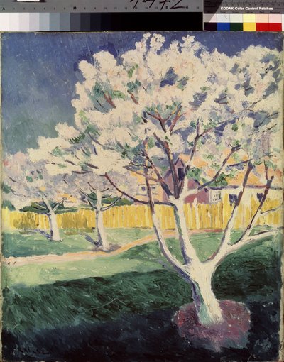 Paysage d