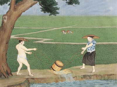 Pays-Bas, Leyde, Travail dans les rizières - Keiga Kawahara