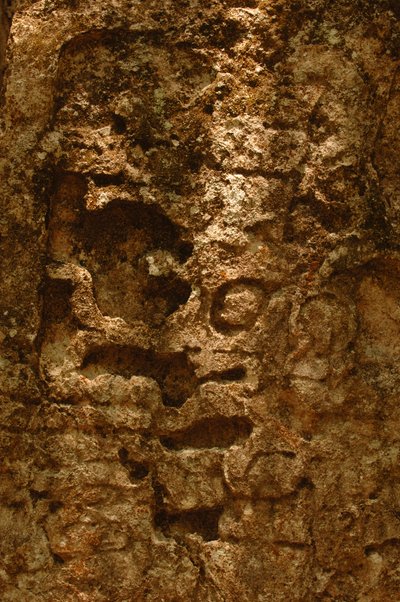 7319 Oxpemul; Maya; Cultures anciennes; Maya; Mexique; Réserve de biosphère Maya; Ivan Spr..., 2004 - Kenneth Garrett