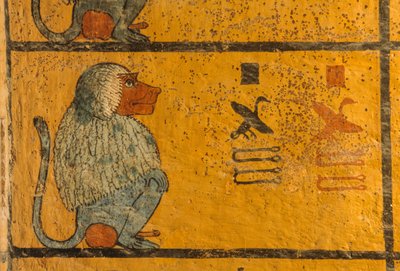 Babouin, peinture murale dans la tombe du roi Toutankhamon; KV52, Vallée des Rois, Thèbes, 2003 (photo) - Kenneth Garrett