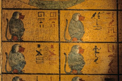 Baboons, peinture murale dans la tombe du roi Toutankhamon; KV52, Vallée des Rois, Thèbes, 2003 - Kenneth Garrett
