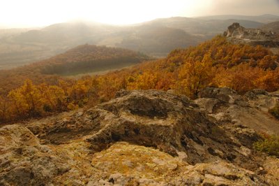 Histoire de la ruée vers l