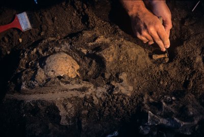 Dmanisi, Géorgie, David Lordkipanidze, Homo Erectus - Kenneth Garrett
