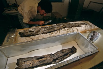 Dr. Matthew Adams inspecte une planche de bateau en bois dans le laboratoire, bois dur, non cèdre, d