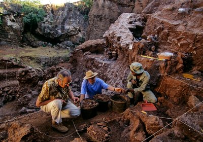 Site de Drimolean, près de Johannesburg, Afrique du Sud, hominidé de 2 millions d