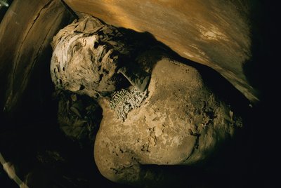 Égypte; Archéologie; Ancien Empire; Saqqara; Momie; Nefer; Tombe, 5e Dynastie - Kenneth Garrett