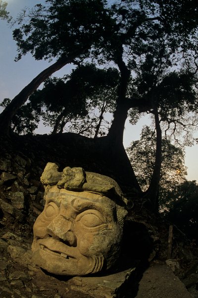 Dieu N, arbre Ceiba, temple, Maya, Copan, Honduras, période classique - Kenneth Garrett