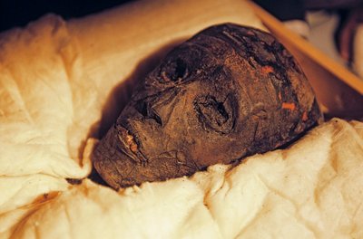 Tête et visage de la momie du roi Toutankhamon, 2005 - Kenneth Garrett