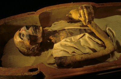 Momie de Ramsès II - Kenneth Garrett