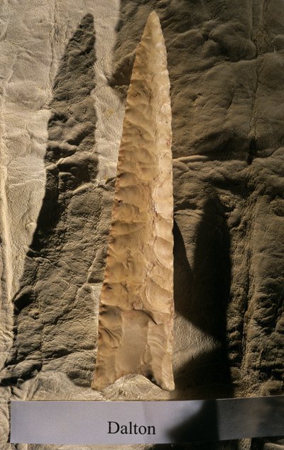 Peuplement des Amériques, Pointe de Dalton, Dennis Stanford, collection d