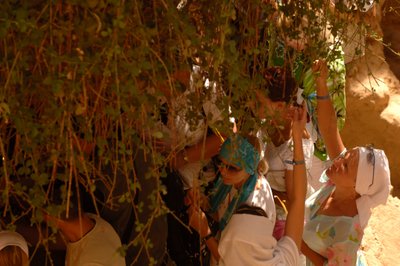 Touristes touchant les branches du "buisson ardent" de Moïse au monastère Sainte-Catherine, 2006 (photo) - Kenneth Garrett