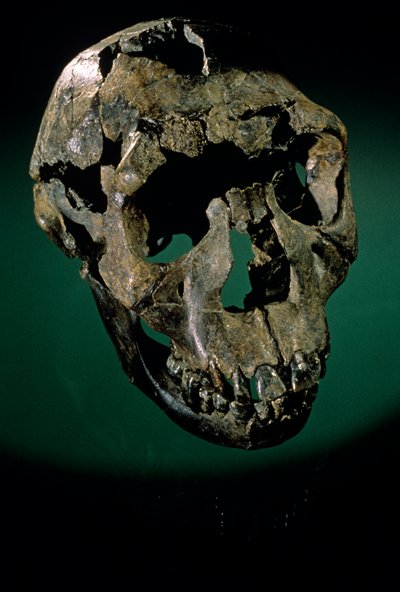 Garçon de Turkana, Kenya, Lac Turkana - Kenneth Garrett