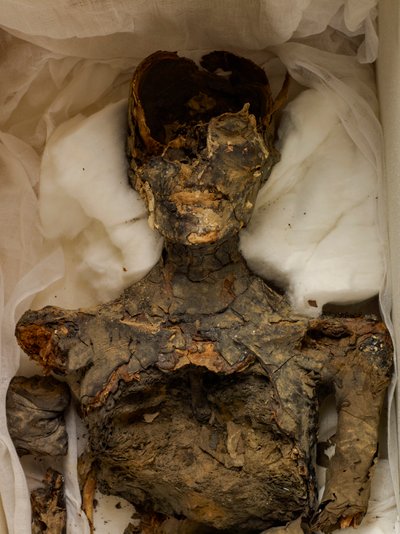 18ème Dynastie; Nouvel Empire; Égypte; Musée Égyptien; Le Caire; Momie; Vallée des Rois, 2009 (photo) - Kenneth Garrett