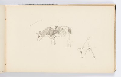 Page de carnet de croquis : Vaches broutant - Kenyon Cox