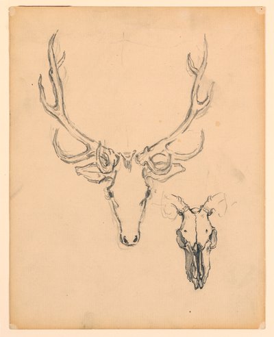Étude de tête de cerf - Kenyon Cox