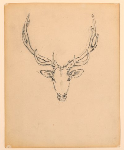 Étude de tête de cerf - Kenyon Cox
