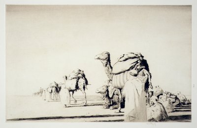 Fret du désert - Kerr Eby