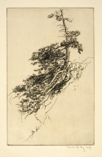 Pin de Little Rock - Kerr Eby