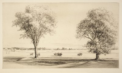 Polo - Kerr Eby