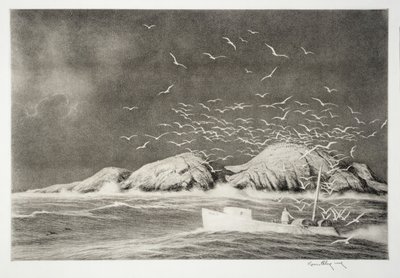 Rocher aux requins - Kerr Eby