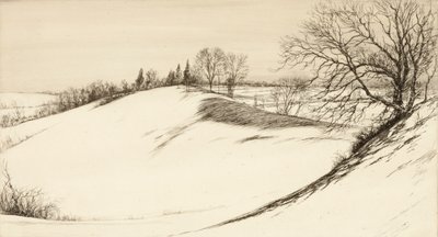 Le dos de la baleine - Kerr Eby