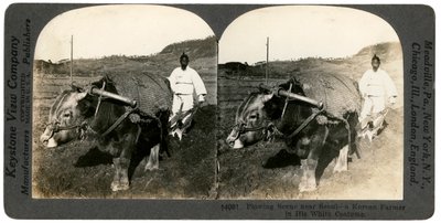 Agriculture près de Séoul, Corée du Sud, années 1900 - Keystone View Company