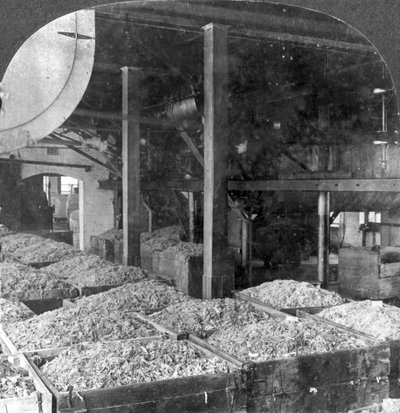 Fabrication de papier à partir de chiffons, Holyoke, Massachusetts, USA, 20ème siècle - Keystone View Company