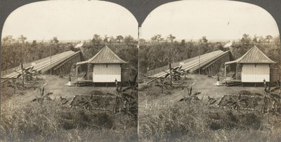 Groupe de 14 stéréographes d